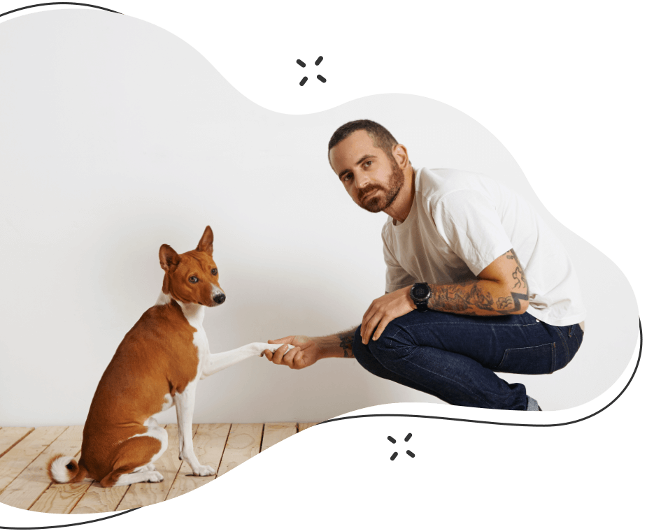 Pawsitive https://www.joifulpets.com/wp-content/uploads/2019/08/hero_image_07.png