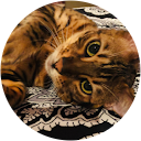 M Al Maktoum profile picture