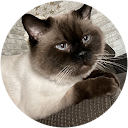 Noora profile picture