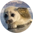 johanna richmond profile picture