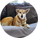 Lottafay Purvis profile picture