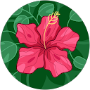 Polina B. G. profile picture